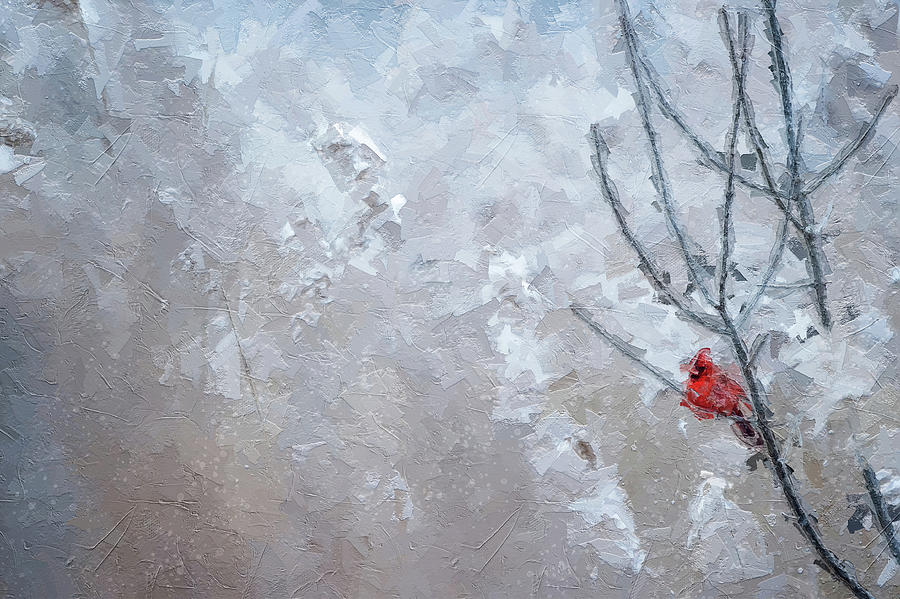Winter Story #186 Digital Art by TintoDesigns