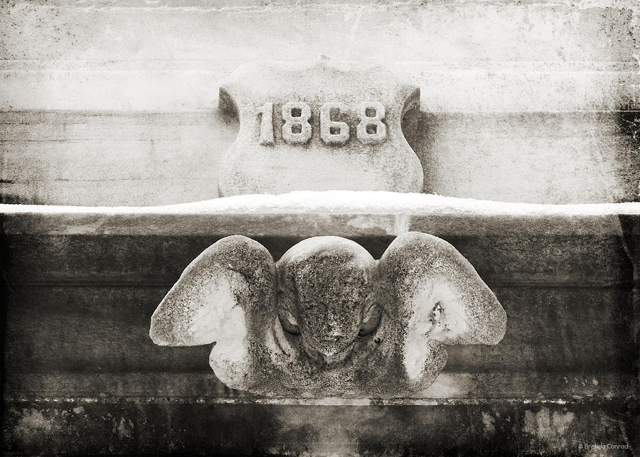 1868 Photograph by Dark Whimsy