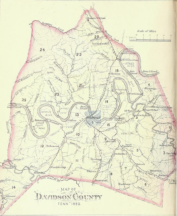 1880 Map of Davidson County Tennessee Drawing by Timeless Geo Maps