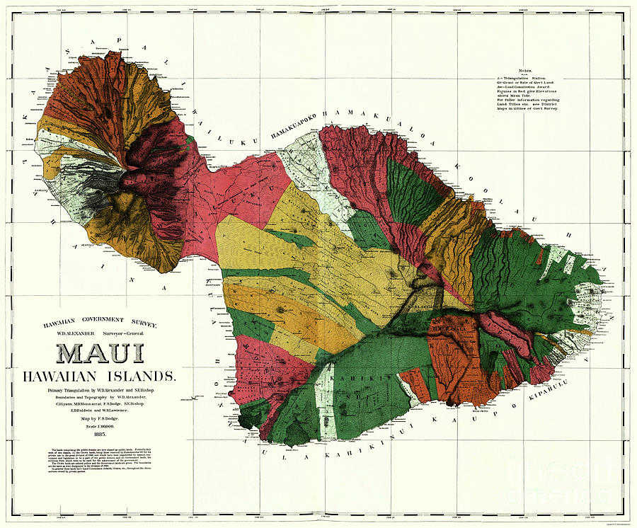 1885 - Map of Maui Hawaii  Photograph by Doc Braham