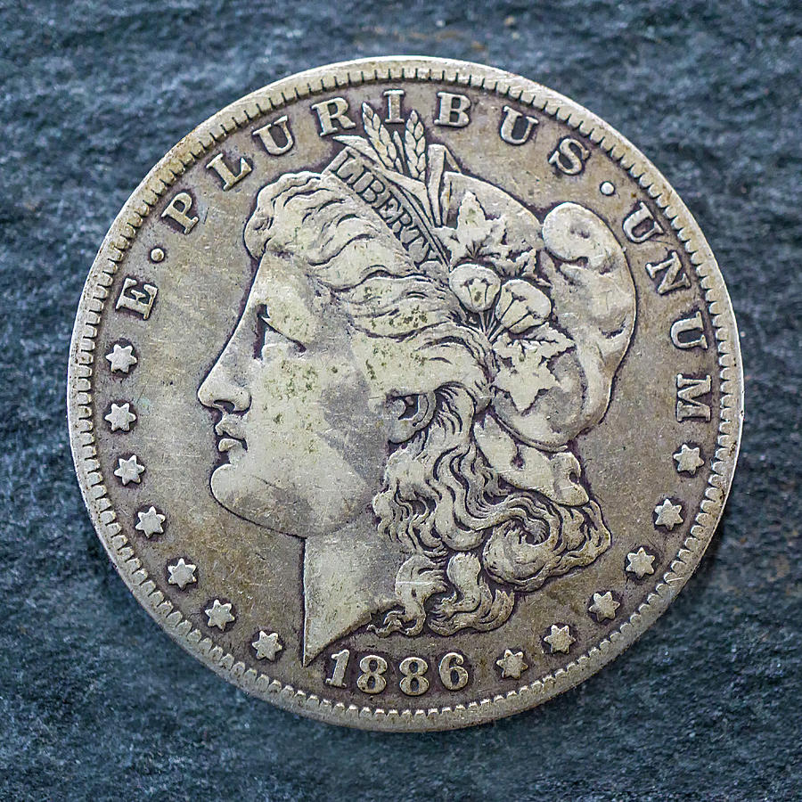 Coin Photograph - 1886 Coin by Dennis Dugan