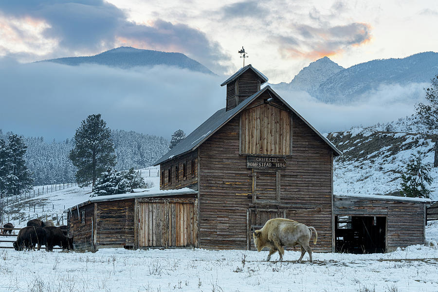 1886 Creekside Homestead - Montana Photograph by Photos By Thom