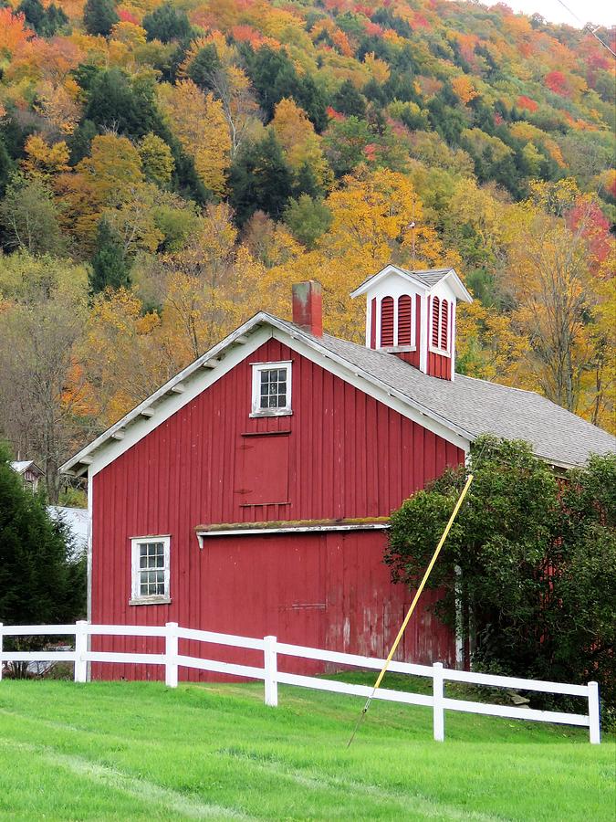 1890 Barn Photograph by Carol McGrath