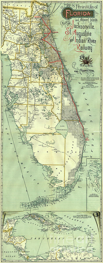 1893 Map of Florida Photograph by Jon Neidert