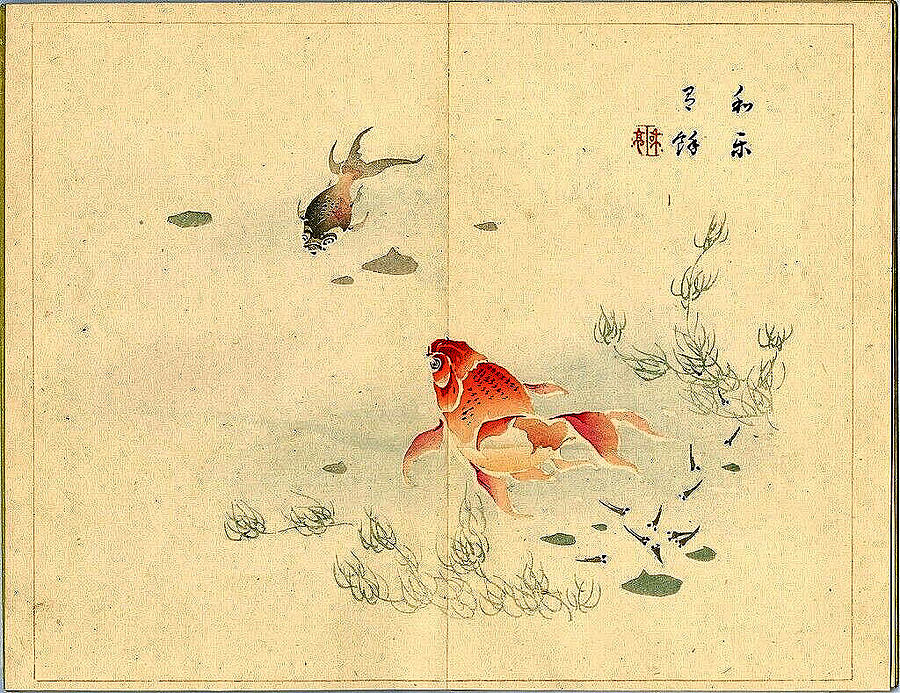 1894 Tansei Ippan by Taki Katei Japanese Original Woodblock Print  3 Painting by Artistic Rifki