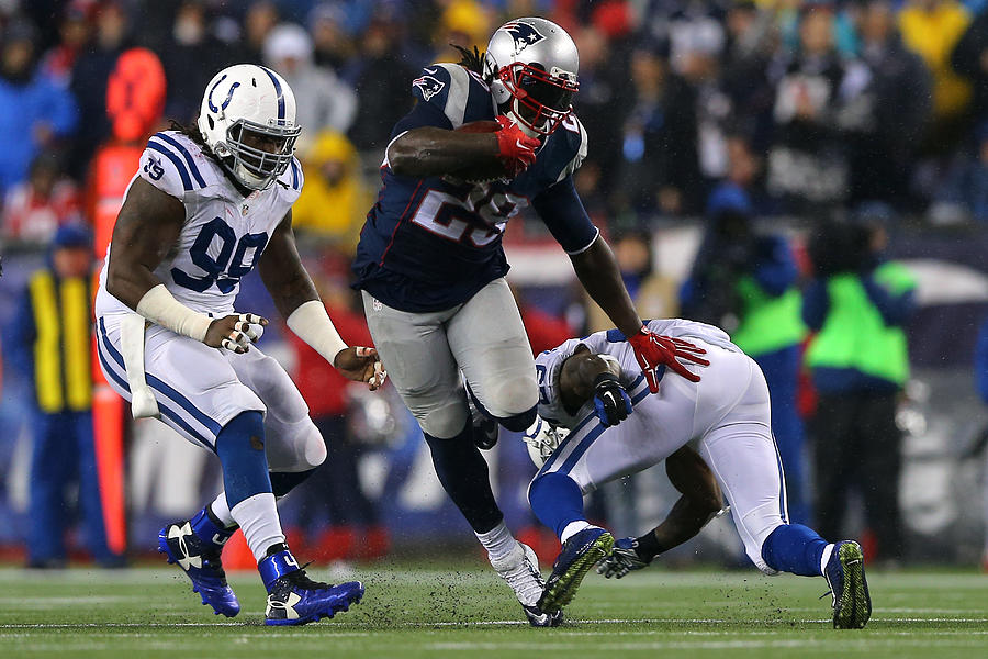 AFC Championship - Indianapolis Colts v New England Patriots #19 Photograph by Elsa