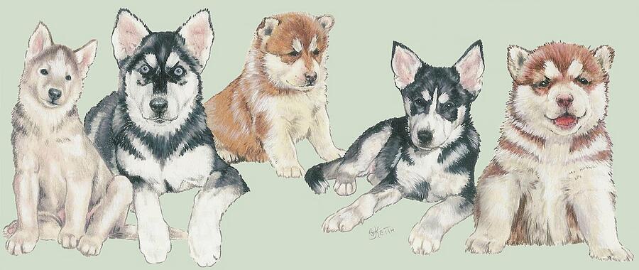 Siberian Husky Puppies Mixed Media by Barbara Keith