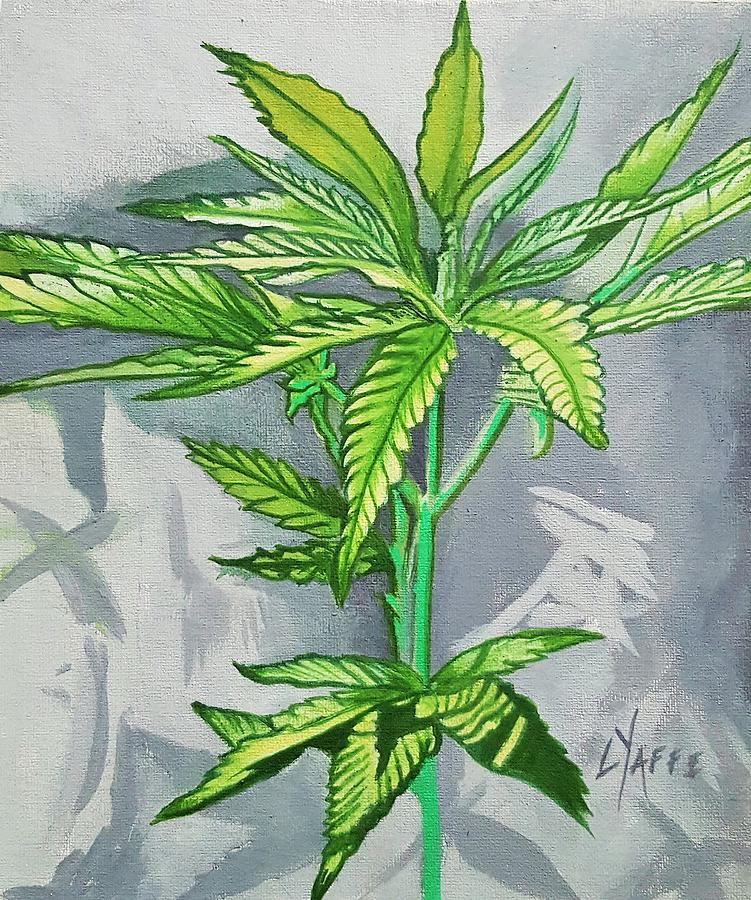 Cannabis Plant #19 Painting by Loraine Yaffe
