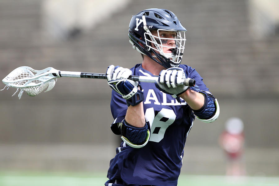 COLLEGE LACROSSE: APR 29 Yale at Harvard #19 Photograph by Icon Sportswire