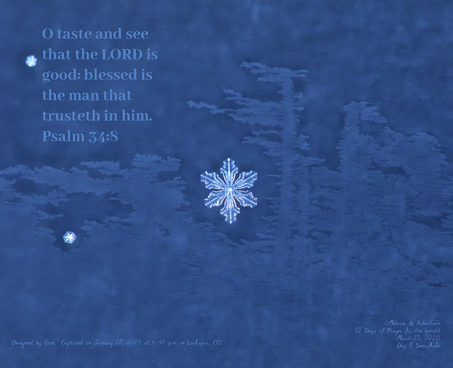 Inspirational Real Life Snowflake Photograph Bible Verse Scripture ...