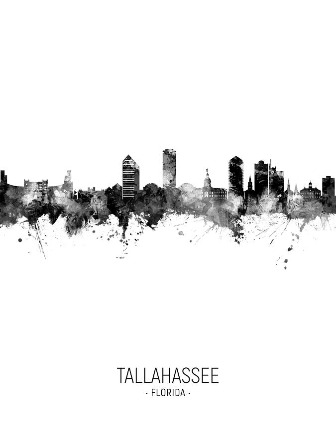 Tallahassee Digital Art - Tallahassee Florida Skyline #19 by Michael Tompsett