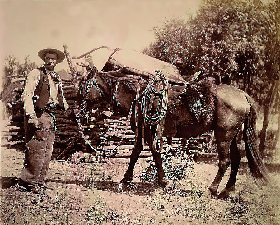 1900 Cowboy Digital Art by Unknown