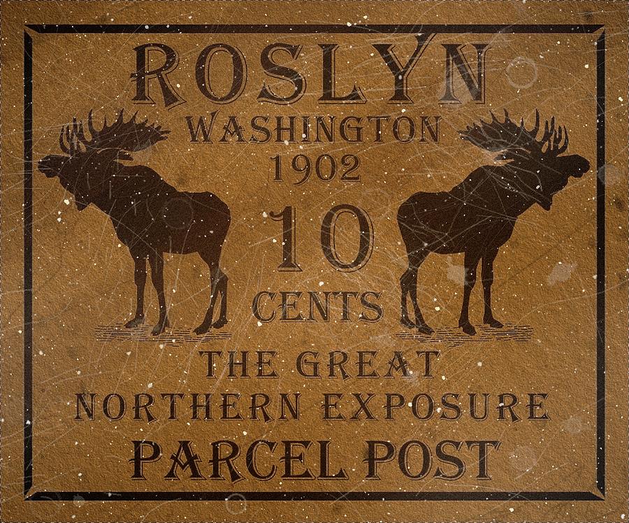 1902 - Roslyn - 10 Cents - Chestnut - Parcel Post - Mail Art Post Digital Art by Fred Larucci