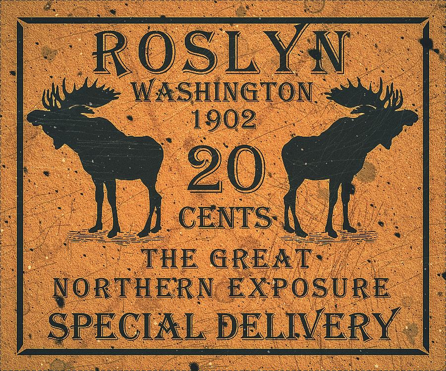1902 - Roslyn Special Delivery - 20 Cents - Mango - Letter Post - Mail Art Post Digital Art by Fred Larucci