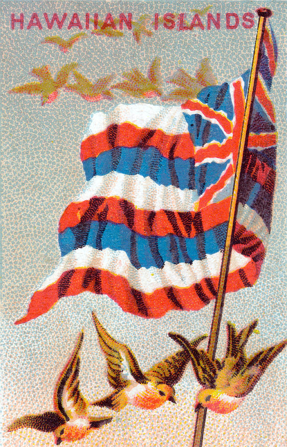 1910 Flag of the Hawaiian Islands Painting by Historic Image