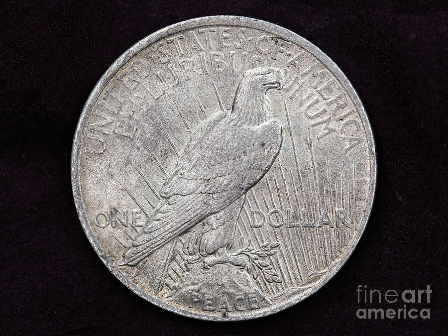 1923 Peace Silver Dollar Reverse Photograph by Randy Steele