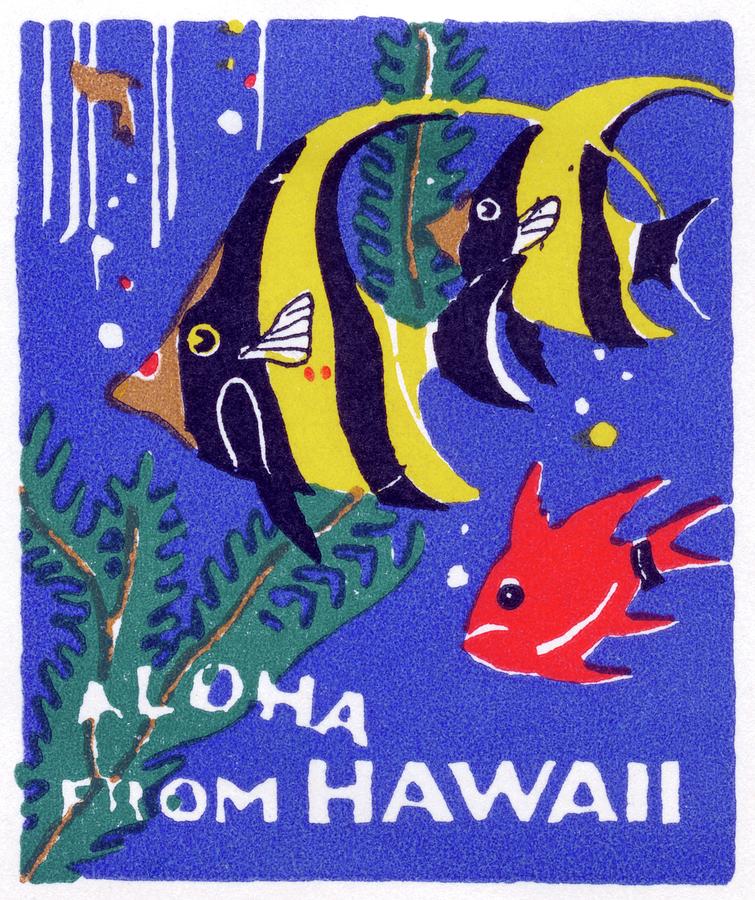1930 Tropical Fish, Hawaii Painting by Historic Image