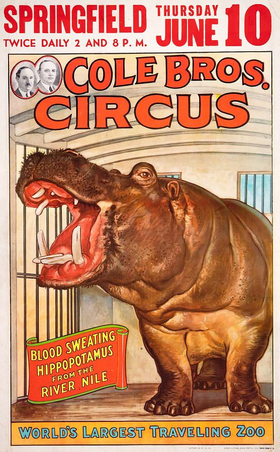 1932 Blood Sweating Hippo Digital Art by Kim Kent