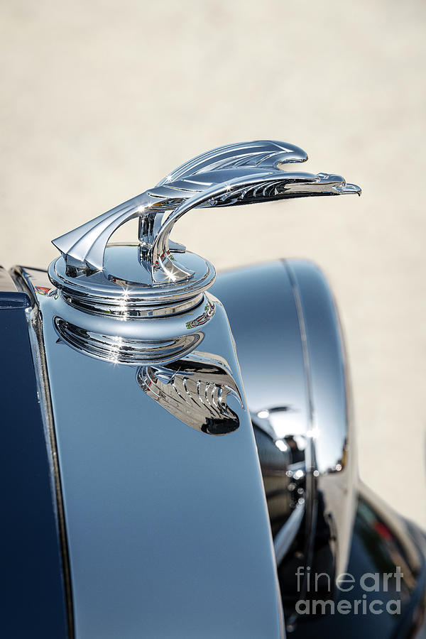 1932 Chevrolet Hood Ornament Photograph by Dennis Hedberg