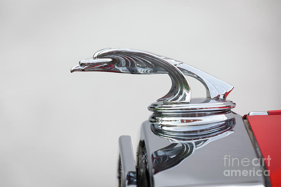 1931 Hood Ornament Photograph by Dennis Hedberg