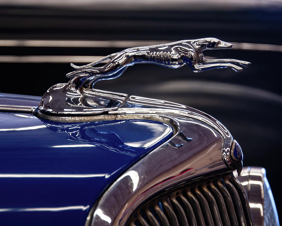 1934  Ford Greyhound Hood Ornament Photograph by Flees Photos