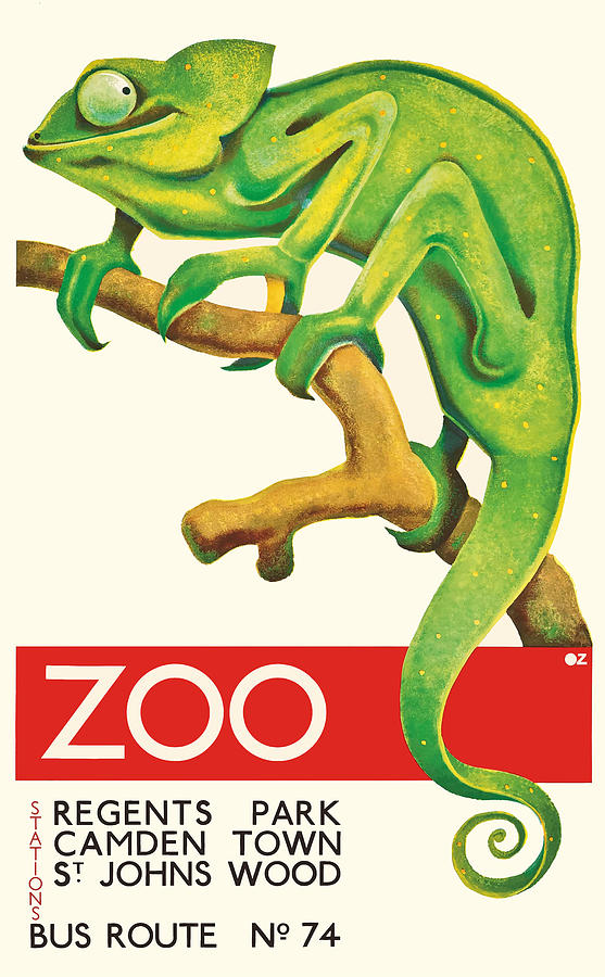 1935 Chameleon ZOO Advertising Poster Digital Art by Retro Graphics