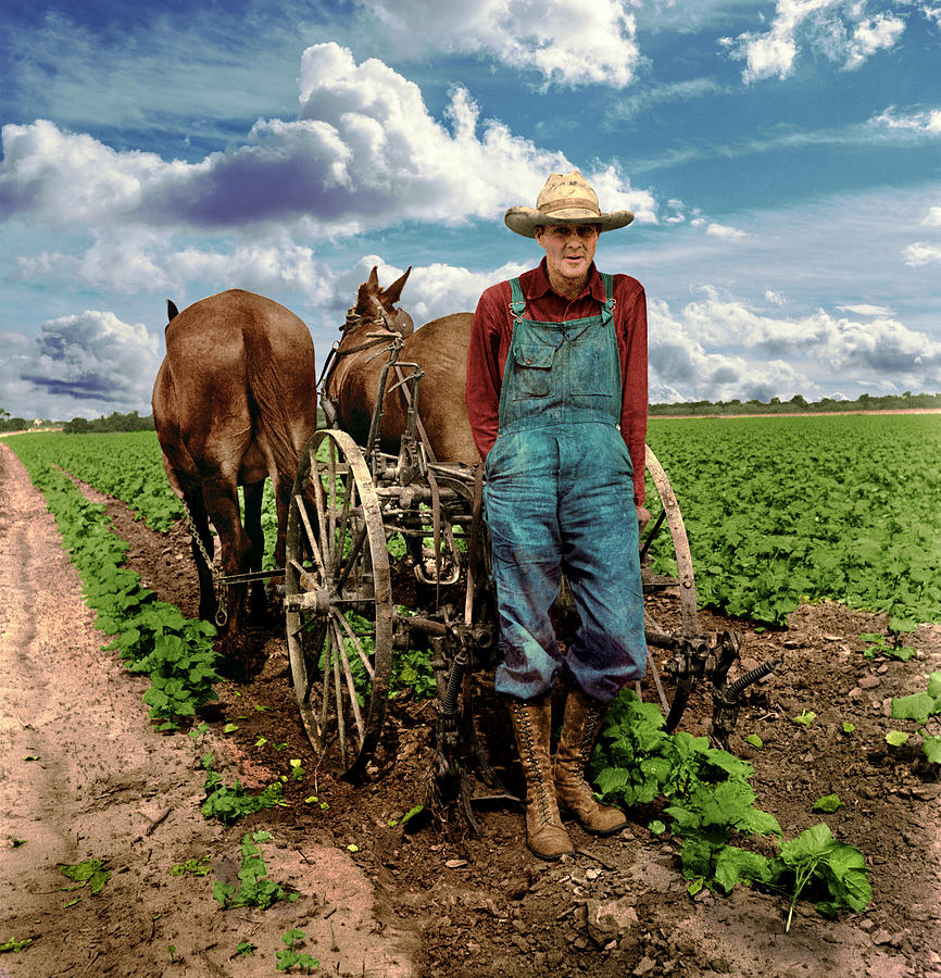 Cotton Farmer 1937 by Robert G Kernodle Cotton Farmer 1937 by Robert G Kernodle
