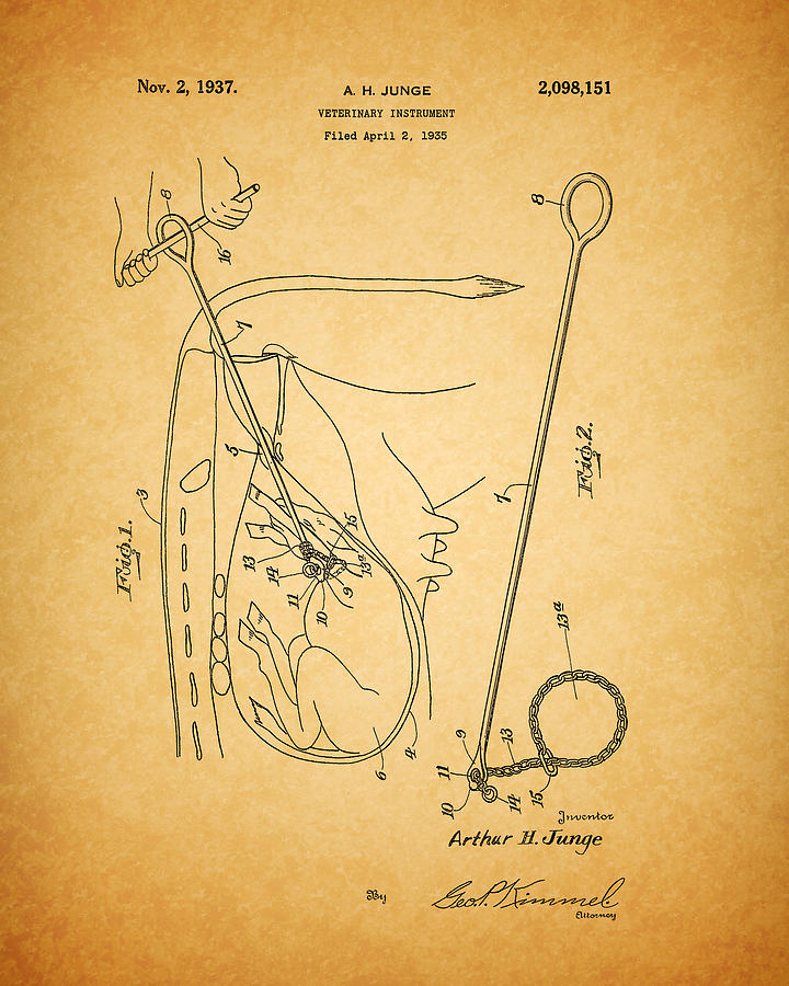 1937 Farm Veterinarian Instrument Patent Drawing by Dan Sproul