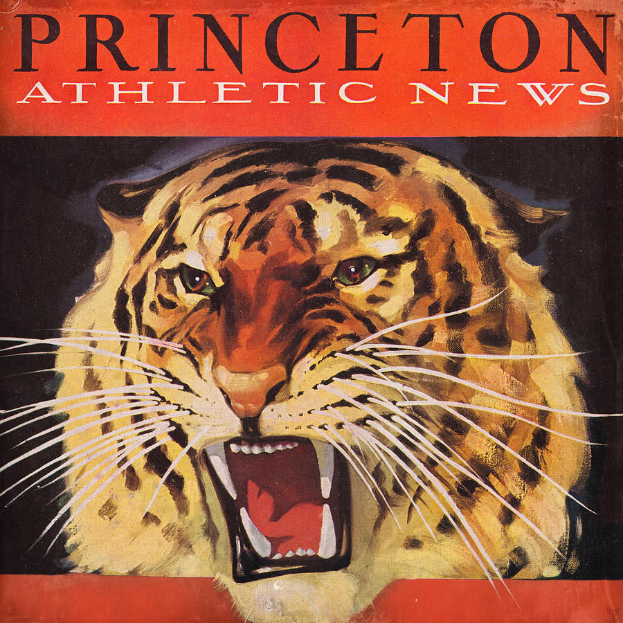 1938 Princeton Tiger Art Mixed Media by Row One Brand