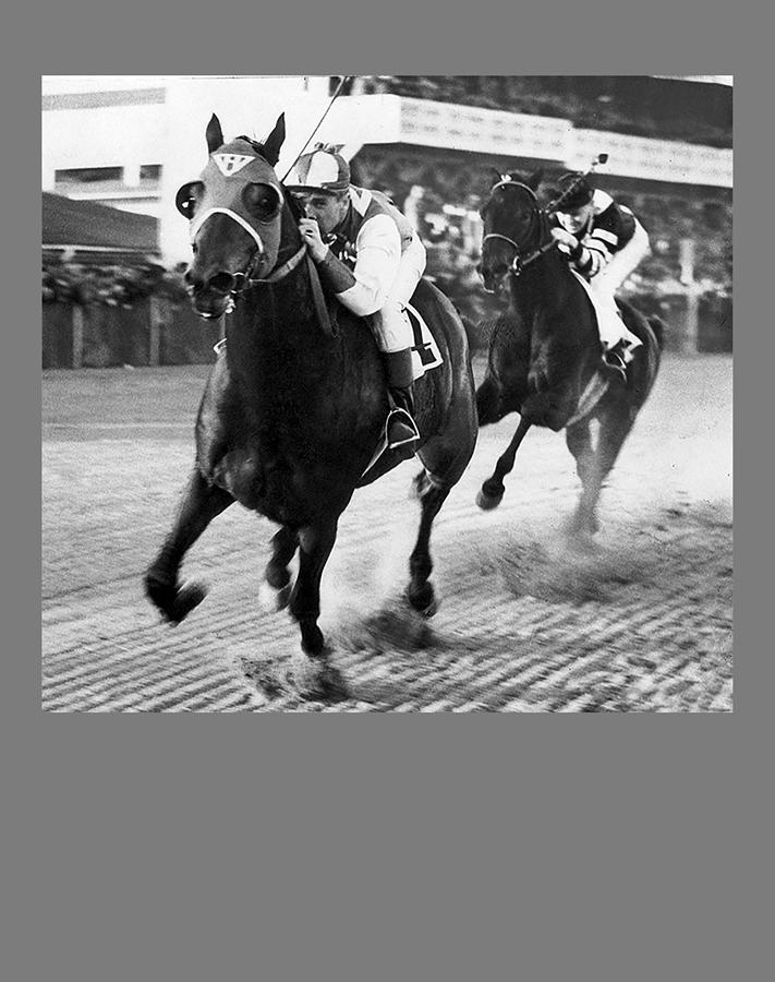 1938 Seabiscuit Vs War Admiral Photo Horse Race Racing Epic Racetrack ...