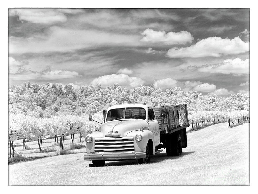 1947 Chevy Truck - BWM000083 Photograph by Daniel Dempster