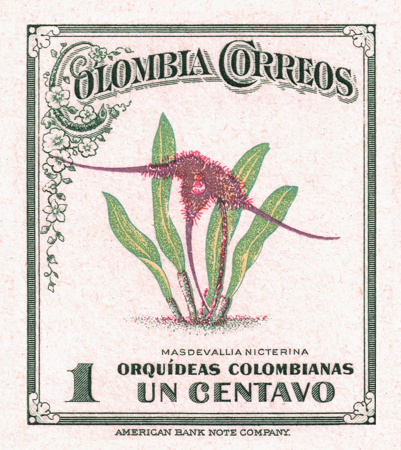 Orchid Digital Art - 1947 COLOMBIA Masdevallia Orchid Postage Stamp by Retro Graphics