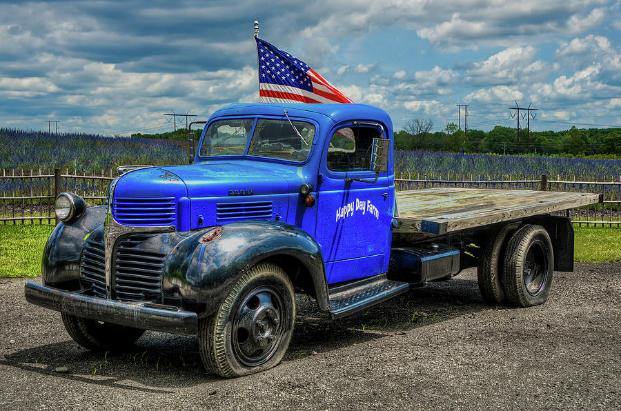 1947 Dodge Farm Truck  Photograph by Anthony Sacco