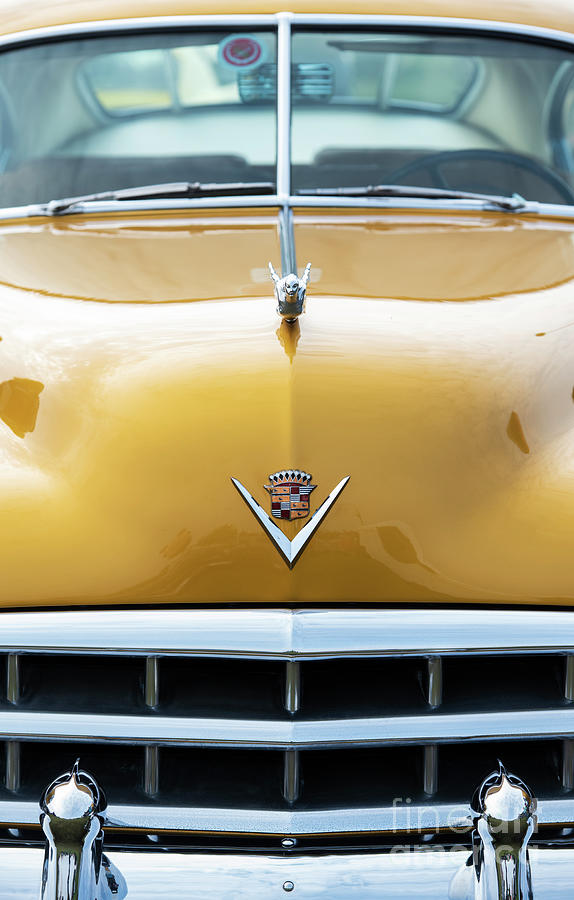 1949 Cadillac  Photograph by Tim Gainey