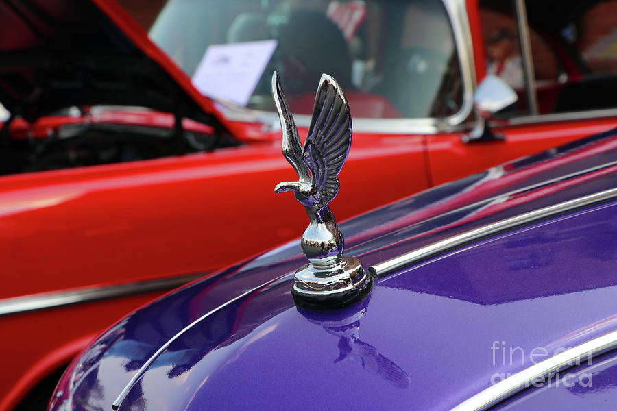 1949 Ford F1 Pickup Hood Ornament 9593 Photograph by Jack Schultz