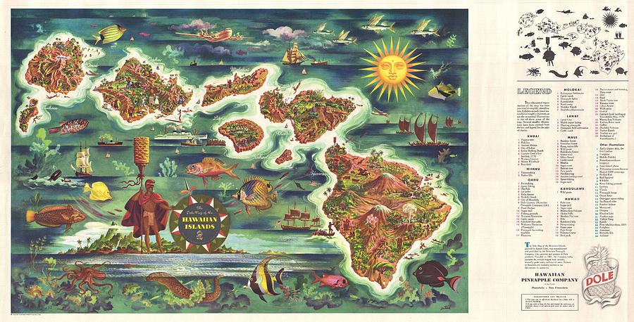1950 Joseph Feher Dole Map of Hawaii - Geographicus - Hawaii-feher-1950 Painting by MotionAge Designs
