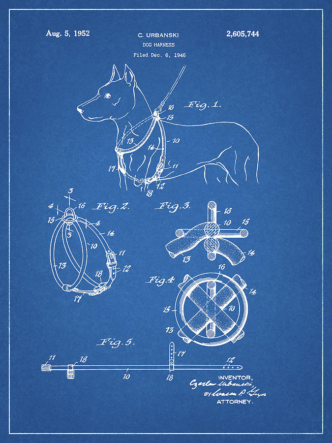 1952 Dog Harness Patent Drawing by Dan Sproul 1952 Dog Harness Patent Drawing by Dan Sproul
