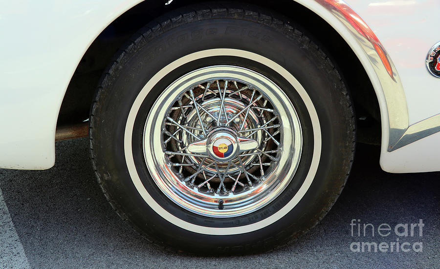 1953 Buick Skylark Wheel  8925 Photograph