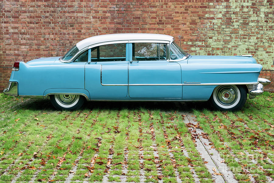 Car Photograph - 1955 Cadillac by Tim Gainey