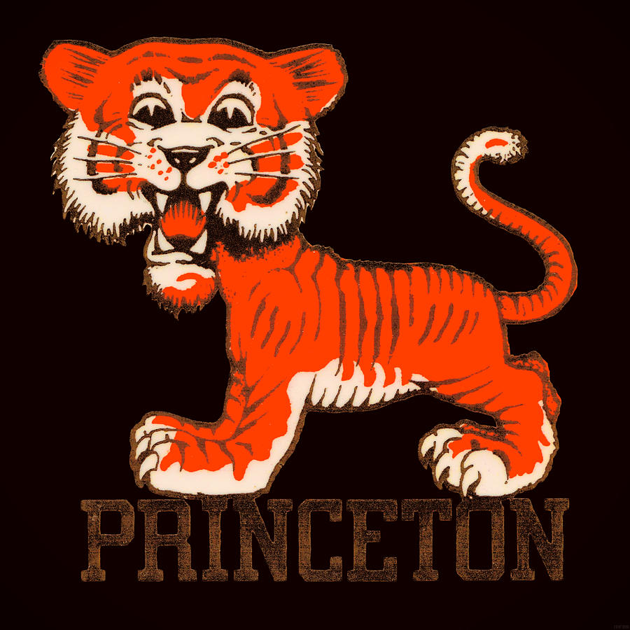 1955 Princeton Tigers Art Mixed Media by Row One Brand