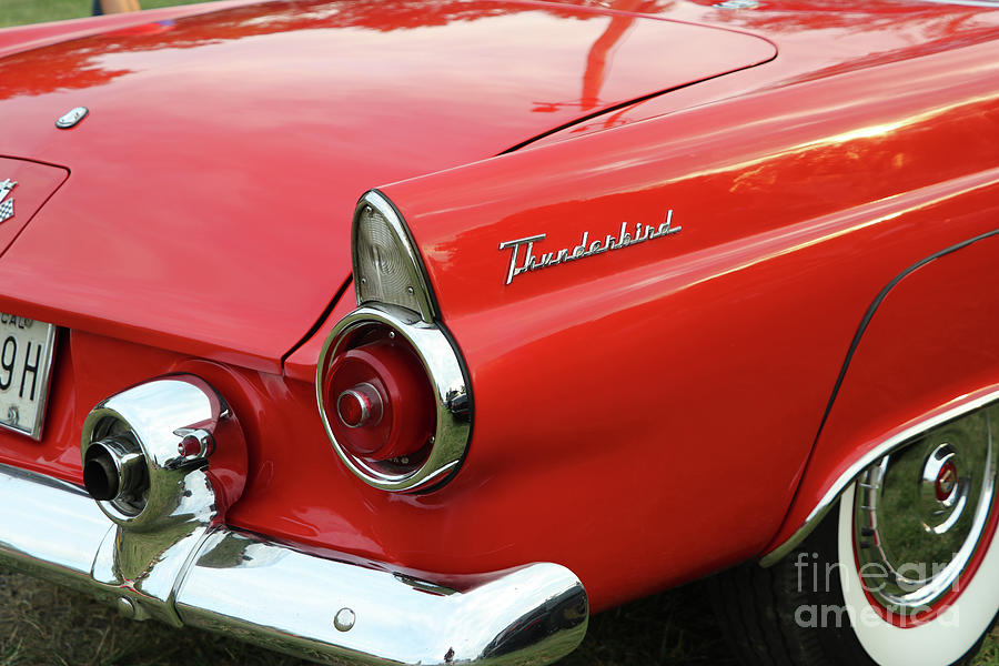 1956 Ford Thunderbird Taillight   8864 Photograph