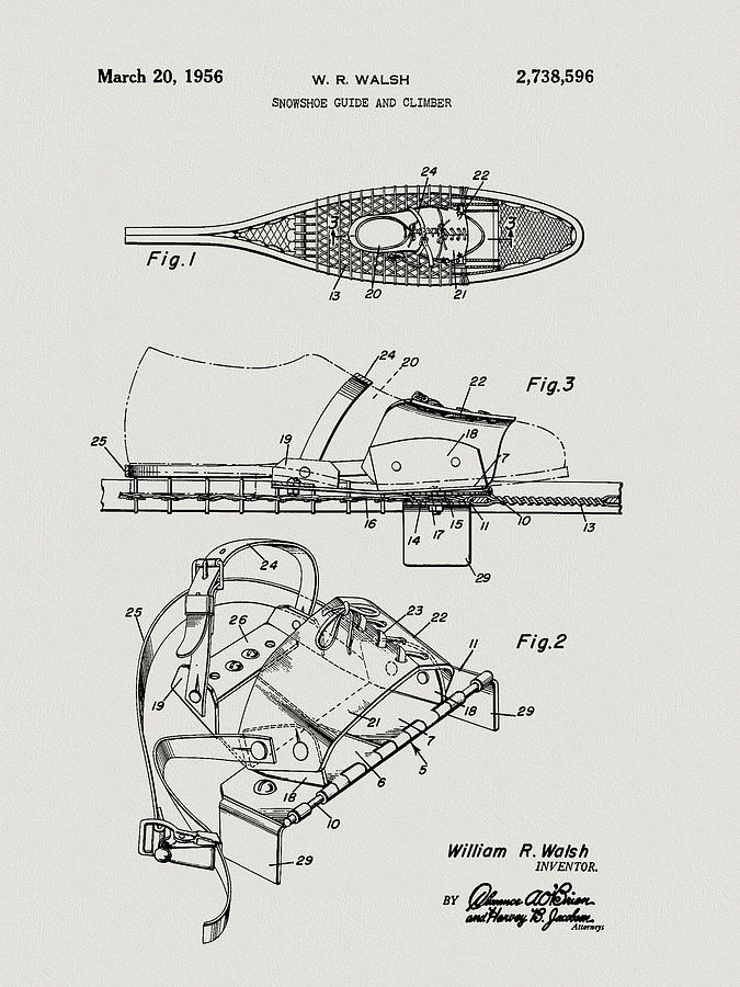 1956 Snowshoe Patent Design Drawing by Dan Sproul
