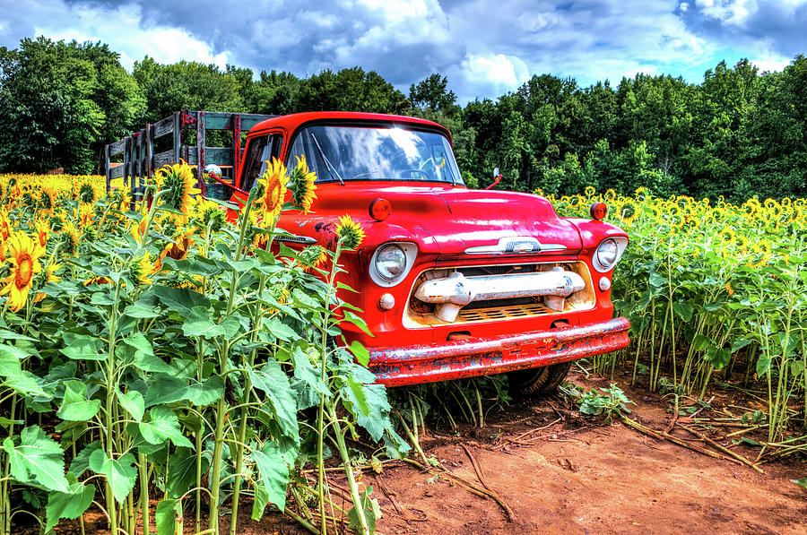 1957 Chevy Truck Photograph by Anthony Sacco