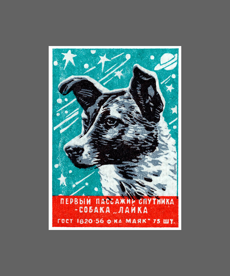 1957 Laika the Space Dog Poster retro trending Painting by Alan Maria ...