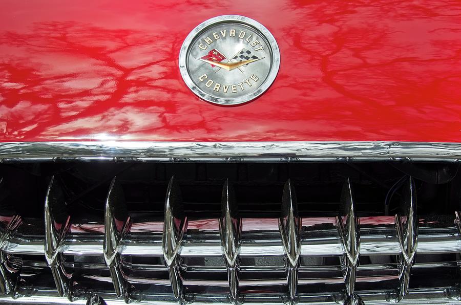 1959 Chevrolet Corvette Hood and Grill Photograph by Carolyn Marshall