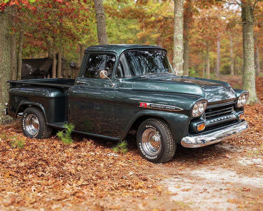 1959 Chevy Apache In the Woods Photograph by Kristia Adams