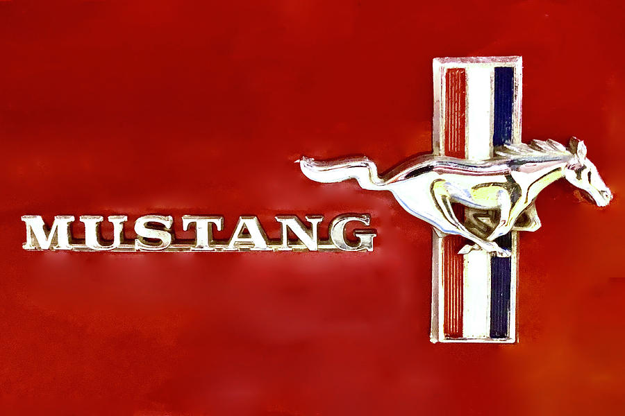 1964 Mustang Logo Photograph