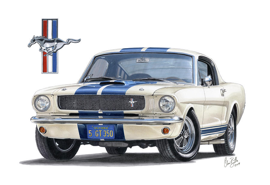 1965 Ford Mustang GT350 Drawing by The Cartist - Clive Botha