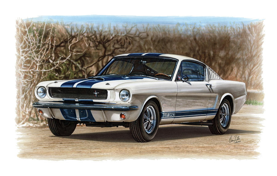 1965 Ford Mustang Shelby 350GT Drawing by The Cartist - Clive Botha