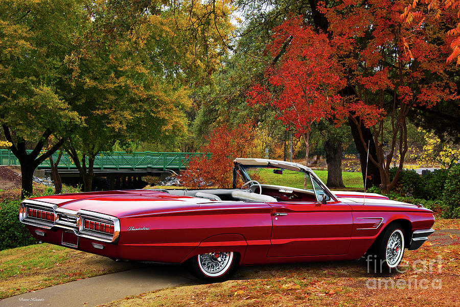 1965 Ford Thunderbird Sports Convertible Photograph by Dave Koontz